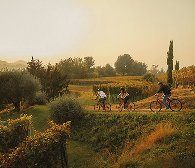 Foto zu dem Text "Bike & Wine: Enogastronomische Rad-Tour durchs Mendrisiotto"