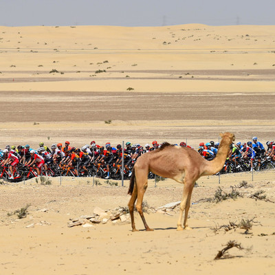 Foto zu dem Text "UAE Tour wegen zwei positiven Tests auf Coronavirus abgebrochen"