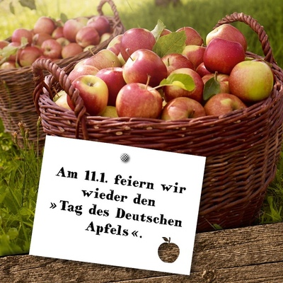 Foto zu dem Text "Tag des Deutschen Apfels: im Zeichen der knackigen Frucht"