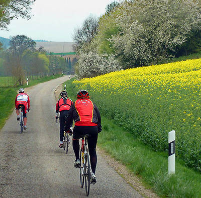 Foto zu dem Text "Fahrt in den Frühling: Die ersten warmen Tage genießen"