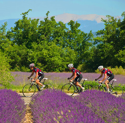 Foto zu dem Text "Coquillade Village: Per Rad die Provence entdecken"