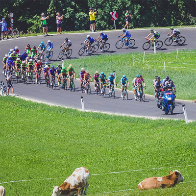 Foto zu dem Text "70. Österreich Rundfahrt, Vorschau 8. Etappe"