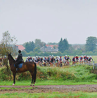 Foto zu dem Text "Heide-Rad-Cup: “Landschaftlich schöner geht es kaum!“"