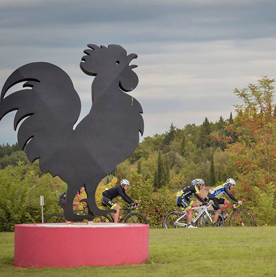 Foto zu dem Text "Granfondo del Gallo Nero: Durch die Weinberge des Chianti"