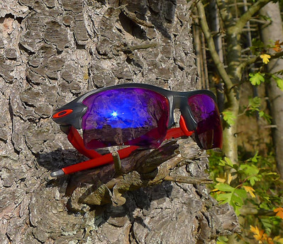 Foto zu dem Text "Oakley Flak 2.0: Mehr als nur Fliegen-Abwehr..."