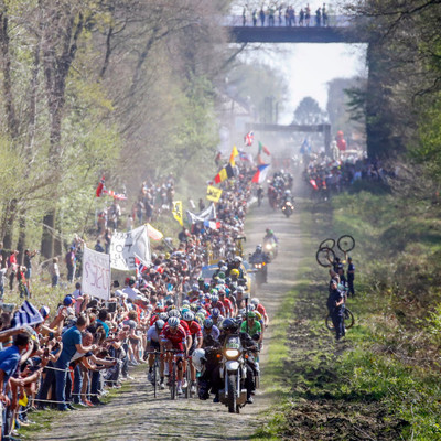 Foto zu dem Text "Kommt bald Mörtel zwischen die Kopfsteine im Wald von Arenberg?"