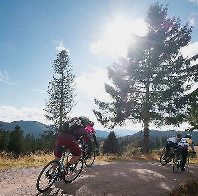 Foto zu dem Text "Trans Bayerwald: Bike-Tour für Schotter-Pioniere"