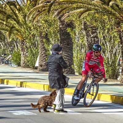 Foto zu dem Text "Kuriose Schnipsel aus dem Radsport"