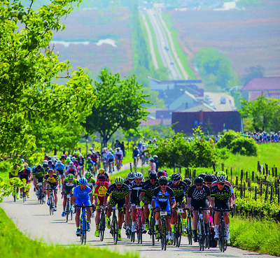 Foto zu dem Text "Neusiedler See Radmarathon: Jetzt fahr´n wir um den See..."