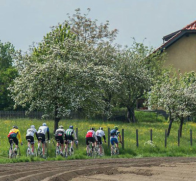 Foto zu dem Text "Kirschblüten-Radklassik: Retro-Rennen durchs Obsthügelland"
