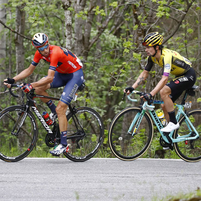 Foto zu dem Text "Roglic und Nibali schaffen sich neue Konkurrenten"