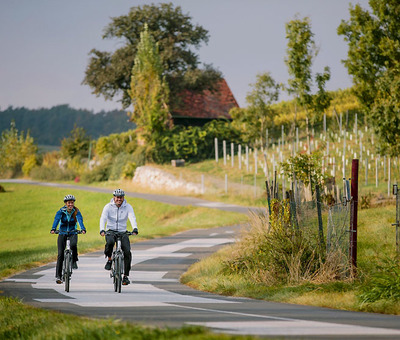 Foto zu dem Text "„Wein und Apfel“: Rad-Rundreise durch die Oststeiermark"