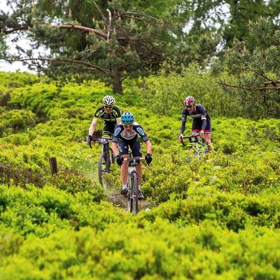 Foto zu dem Text "Bike-Festival Willingen: Jetzt auch mit Gravel-Ride"