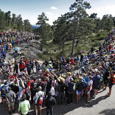 Foto zu dem Text "Maracineanu: “Tour wird nur mit Zuschauern stattfinden“"