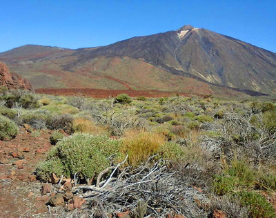 Foto zu dem Text "Teide: Tanz unter dem Vulkan"