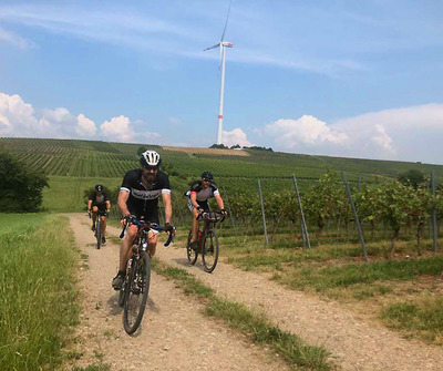 Foto zu dem Text "Nibelungen-Gravel-Ride: Quer durch die Toskana Deutschlands"