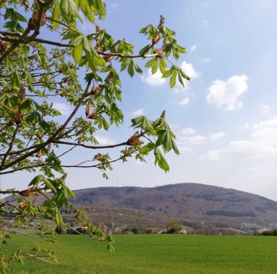 Foto zu dem Text "Der Donnersberg: Sachter Einstieg, steiles Finale"