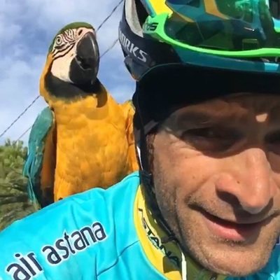 Foto zu dem Text "Scarponis Papagei hat einen neuen Chauffeur gefunden"