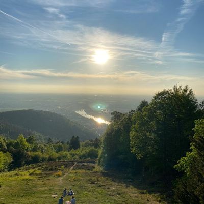 Foto zu dem Text "Der Königstuhl: Flexibilität pur vor den Toren Heidelbergs"