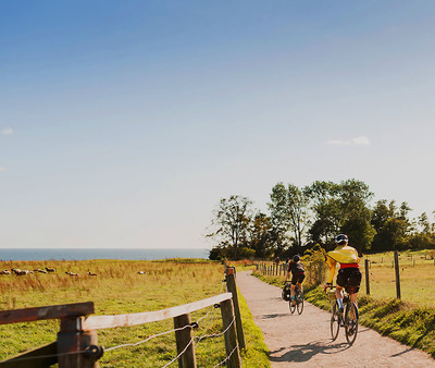 Foto zu dem Text "„Trails of Southern Sweden”: Rad-Routen mit Sternen"