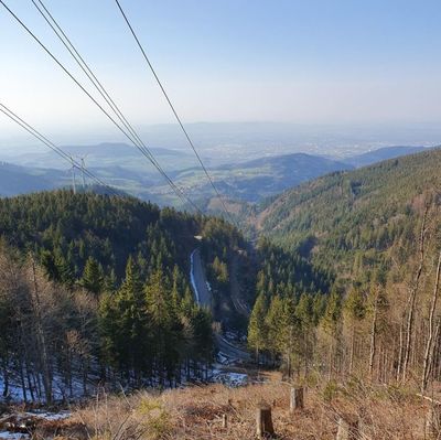 Foto zu dem Text "Der Schauinsland: Macht seinem Namen alle Ehre"