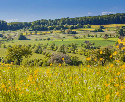 Foto zu dem Text "Bliesgau: Die erste Radtourenfahrt des Sommers"