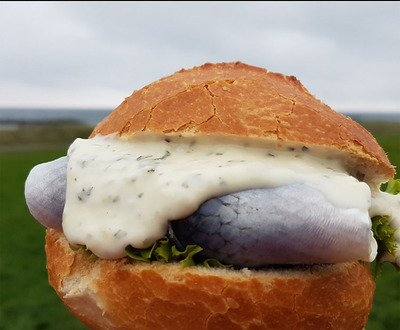 Foto zu dem Text "Fischbrötchen-Brevet: “Rad fahren, glücklich sein...“"