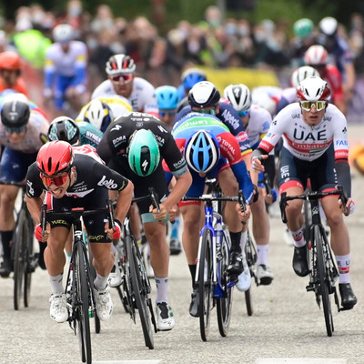 Foto zu dem Text "Debüt-Sieg beim Scheldeprijs: Ewan sprintet dem Chaos davon"