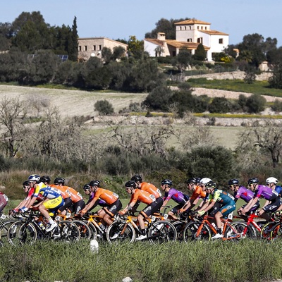 Foto zu dem Text "Mallorca Challenge muss wegen Corona verschoben werden"