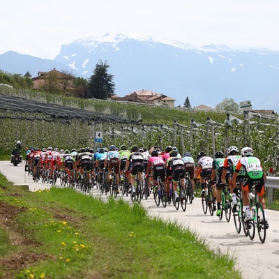 Foto zu dem Text "Tour of the Alps 2021 mit Rekordzahl von zwölf World-Teams"