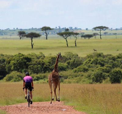 Foto zu dem Text "Migration Gravel Race: Graveln mit Giraffen und Hyänen"