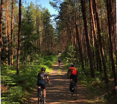 Foto zu dem Text "Heide-Rad-Cup: Seen, Heide, Wälder, Flüsse, Schotter"