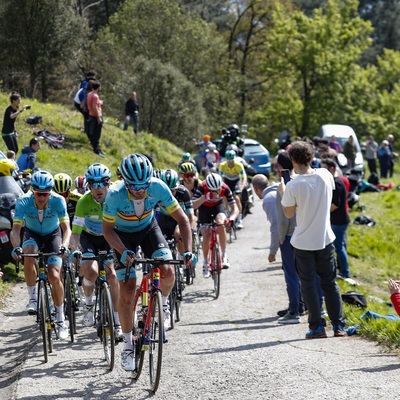 Foto zu dem Text "Pogacar bekommt es nicht nur mit Roglic zu tun"