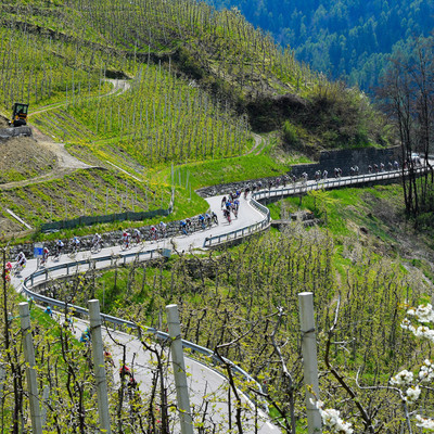 Foto zu dem Text "Vorschau auf die Rennen des Tages / 23. April"