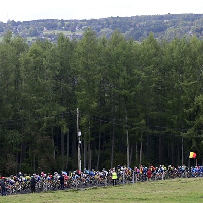 Foto zu dem Text "Endet auch “La Doyenne“ mit Duell Alaphilippe gegen Roglic?"