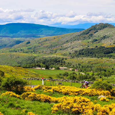 Foto zu dem Text "Raid des Alpilles: Unterwegs mit Cäsar, Nostradamus, van Gogh "