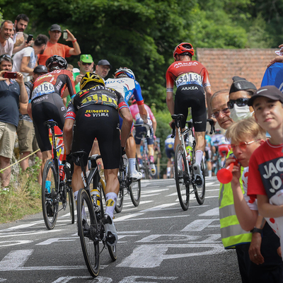 Foto zu dem Text "Jumbo - Visma erwägt Roglics Tour-de-France-Ausstieg"