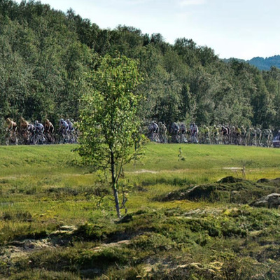 Foto zu dem Text "Vorschau auf die Rennen des Tages / 8. August"