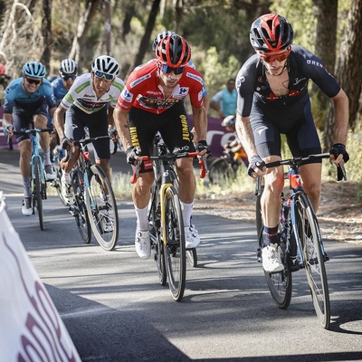 Foto zu dem Text "Roglic im Finale ohne Helfer, aber souverän "