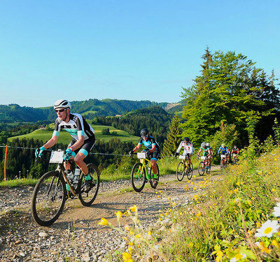 Foto zu dem Text "Tortour Gravel: ein Schotter-Potpourri"