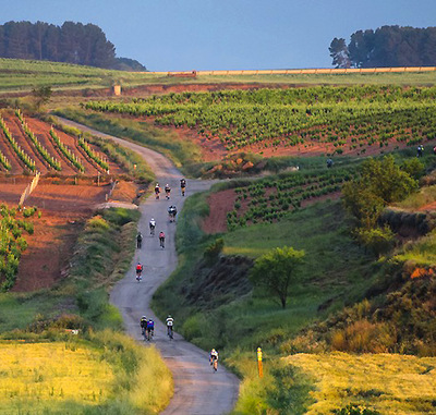 Foto zu dem Text "Eroica Hispania: Durch die Weinberge des Rioja"