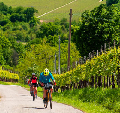 Foto zu dem Text "Nova Eroica Prosecco Hills: Schaumwein und weißer Schotter"