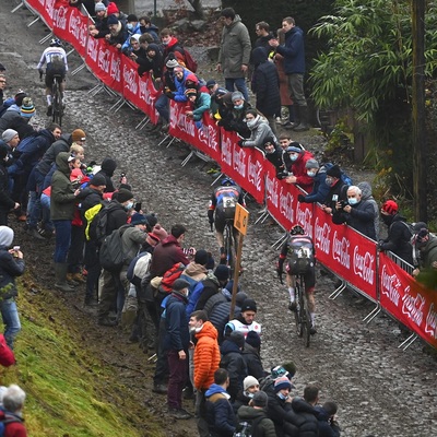 Foto zu dem Text "Exot aus Costa Rica eroberte in Namur die Herzen der Belgier"