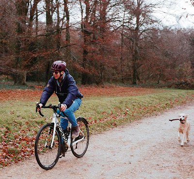 Foto zu dem Text "Festive 500: Frances im Frühtau"