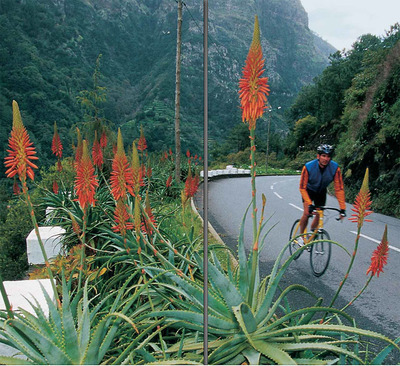 Foto zu dem Text "Madeira: Die Insel des ewigen Frühlings"