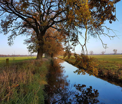 Foto zu dem Text "Schweriner-Seen-Runde: “Voller schöner Momente...“"