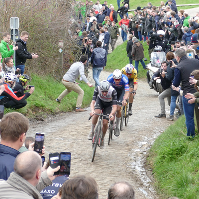 Foto zu dem Text "Foto-Motorrad rutscht am Kwaremont kurz vor Pogacar weg"