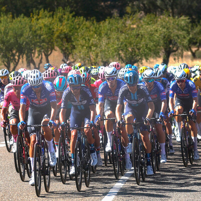 Foto zu dem Text "7. Etappe der Vuelta a Espana: Utiel - Oliva, 188,8 km"