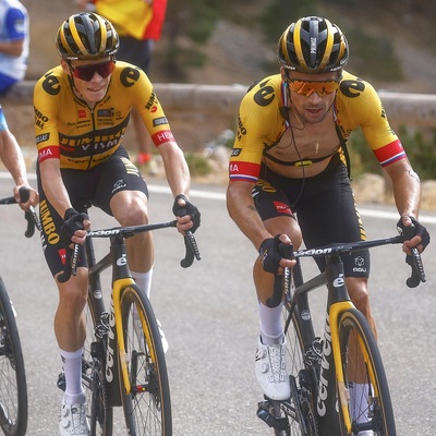 Foto zu dem Text "Vingegaard: “Roglic kann die Tour gewinnen“"