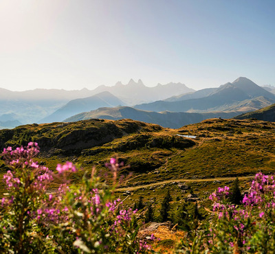 Foto zu dem Text "Haute Route: Neuer Eigentümer - und noch zwei Rennen"